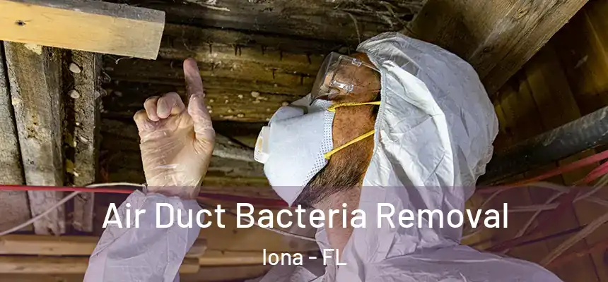 Air Duct Bacteria Removal Iona - FL