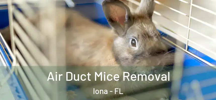 Air Duct Mice Removal Iona - FL