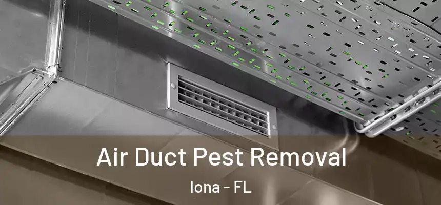  Air Duct Pest Removal Iona - FL
