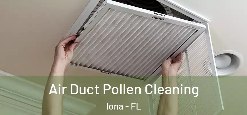  Air Duct Pollen Cleaning Iona - FL