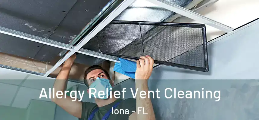 Allergy Relief Vent Cleaning Iona - FL