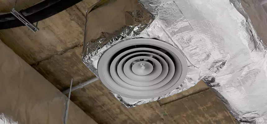 Our Excess Lint Removal from Dryer Ducts Services in Iona, FL