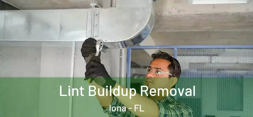 Lint Buildup Removal Iona - FL