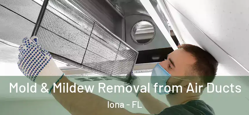  Mold & Mildew Removal from Air Ducts Iona - FL