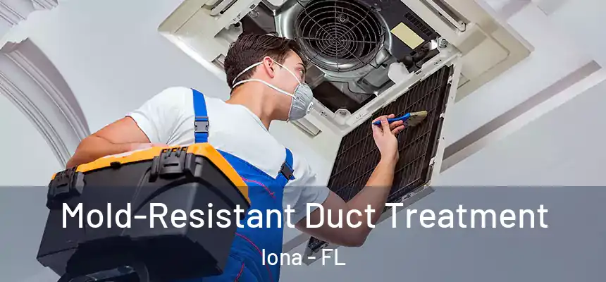 Mold-Resistant Duct Treatment Iona - FL