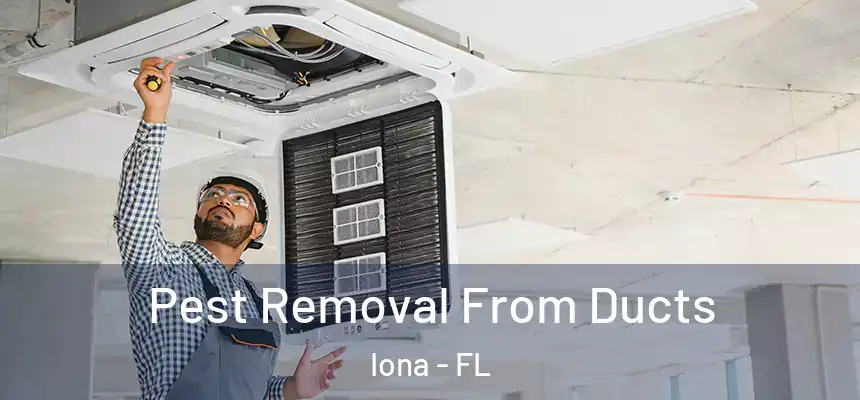 Pest Removal From Ducts Iona - FL