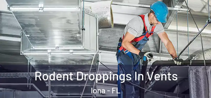 Rodent Droppings In Vents Iona - FL