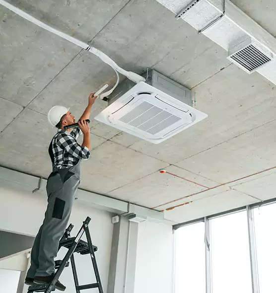 Advanced Pest Removal From Ducts in Iona, FL