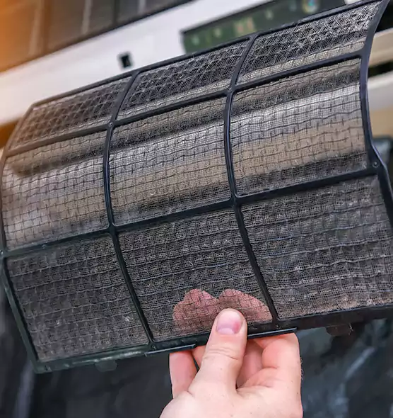 About Pet Dander Duct Cleaning in Iona, FL