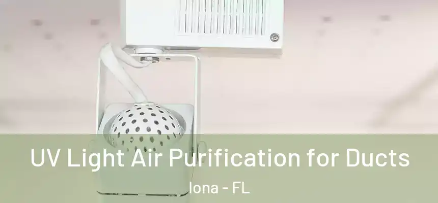  UV Light Air Purification for Ducts Iona - FL